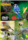 DVD 13 - P�ssaros Livres - Sons P�ssaros Brasil